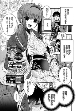 孕妻のユウワク [文苑堂]