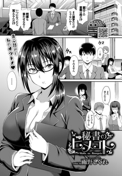 秘書のヒメゴト [文苑堂]