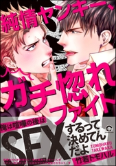 純情ヤンキー、ガチ惚れファイト【電子限定かきおろし漫画付】 [海王社]