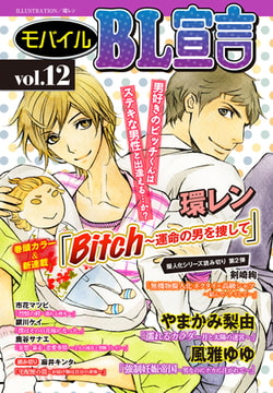 モバイルBL宣言 vol.12 [秋水社ORIGINAL]