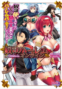 奴○ハーレム・オンライン 奴○使いスキルでレベルMAX美女とハーレムパーティーしています! [パラダイム]