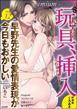 Premium Kiss　Vol.12 [ぶんか社]