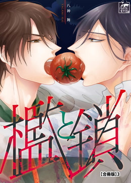 檻と鎖【合冊版】3 [アフォガードコミックス]