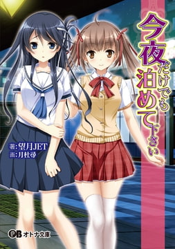 今夜だけでも泊めて下さい [パラダイム]