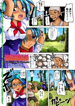 愛玩妖精秘話（4） [リイド社]