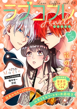 ラブコフレ　ｖｏｌ．25 jewelry 【限定おまけ付】 [大誠社]