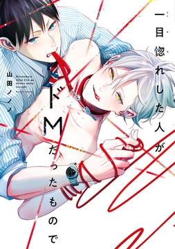 一目惚れした人がドMだったもので【電子限定おまけ付き】 [新書館]