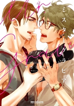 ミスターグラビア【電子限定かきおろし付】 [リブレ]