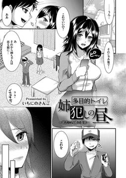 多目的トイレ姉犯しの昼 ～彼氏に内緒の姦係～ [ジーオーティー]