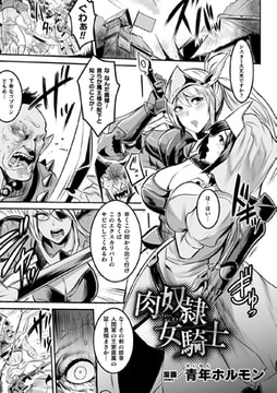 肉奴○女騎士【単話】 [キルタイムコミュニケーション]