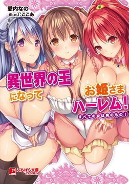 異世界の王になってお姫さまハーレム! ～すべての女は俺のもの!～ [パラダイム]