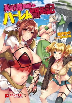 異世界魔術師のハーレム開拓記 [パラダイム]