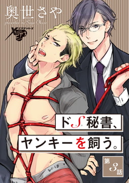 ドS秘書、ヤンキーを飼う。第3話 [ジュネット]