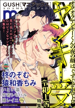 GUSHmaniaEX ヤンキー受 令和上等 [海王社]