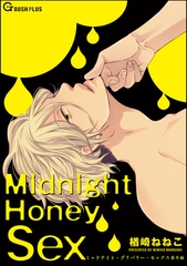 Midnight Honey Sex [海王社]