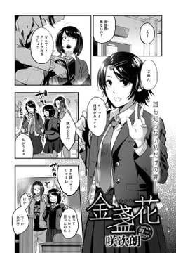 金盞花 [ジーオーティー]