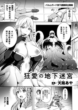 狂愛の地下迷宮【単話】 [キルタイムコミュニケーション]