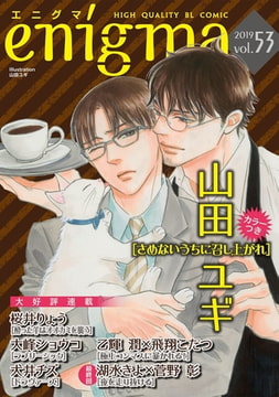 enigma vol．53 [オークラ出版]