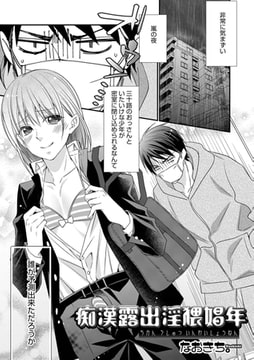 痴○ 露出 淫猥娼年 [メディアックス]