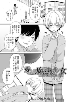 愛しの魔法少女 [メディアックス]