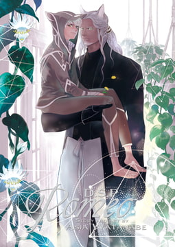 DragoStarPlayer ROMEO 6 [ジュネット]