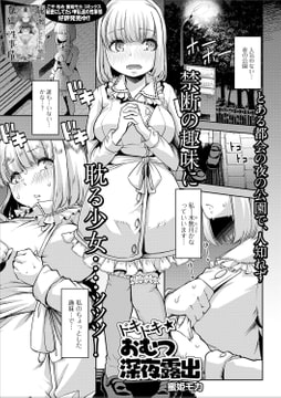 ドキドキ★おむつ深夜露出 [一水社]