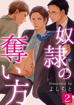 奴○の奪い方２ [メディアソフト]