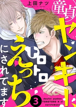 童貞ヤンキー、トロトロえっちにされてます３ [モバイルメディアリサーチ]