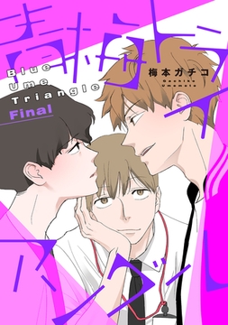 【バラ売り】青梅トライアングル vol.６ [新書館]