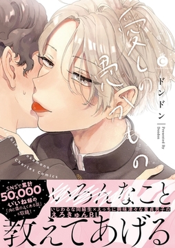 愛しの愚かもの【特典付き】 [メディアソフト]