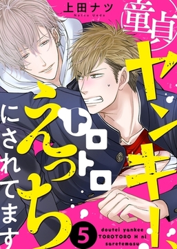 童貞ヤンキー、トロトロえっちにされてます５ [モバイルメディアリサーチ]