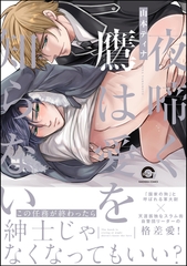 夜啼く鷹は愛を知らない【電子限定かきおろし漫画付き】 [海王社]