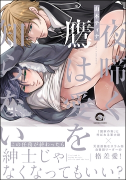 夜啼く鷹は愛を知らない【電子限定かきおろし漫画付き】 [海王社]