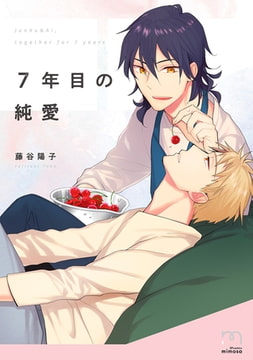 7年目の純愛【単行本版】 [リイド社]