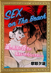 SEX on The Beach [エートゥシー・プロダクション]