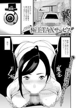 極上TAXサービス [一水社]