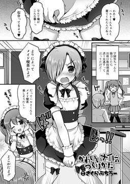 かわいいメイドのつくりかた [茜新社]