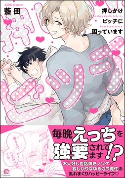 押しかけビッチに困っています【電子限定かきおろし漫画付】 [海王社]