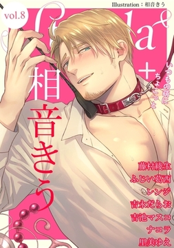 Strada＋ vol.8 [道玄坂書房]