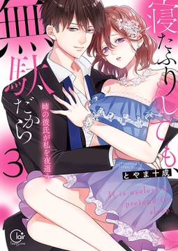 寝たふりしても、無駄だから～姉の彼氏が私を夜這う3【単行本版特典ペーパー付き】 [スクリーモ]
