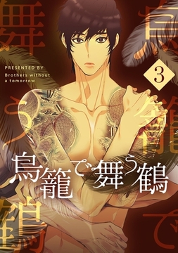 鳥籠で舞う鶴 3 [Piccomics]