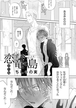 恋する竜の島 -白竜編-　番外編 [大洋図書]