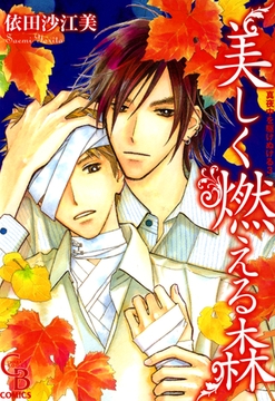 美しく燃える森（真夜中を駆けぬける）　3巻 [二見書房]