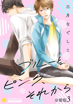 ブルーとピンク、それから（分冊版3） [コンパス]