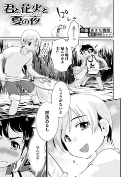 君と花火と夏の夜 [メディアックス]