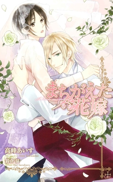 まちがえた花嫁【おまけ付】 [笠倉出版社]