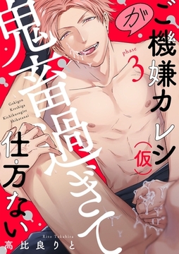 ご機嫌カレシ（仮）が鬼畜過ぎて仕方ない（3） [英和出版社]