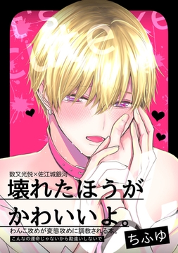 壊れたほうがかわいいよ [CLAPコミックス]