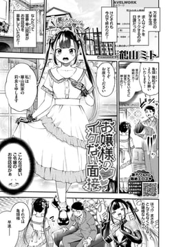 お嬢様のイケない面接 [文苑堂]