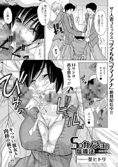 Ｓ系カノジョの指導法